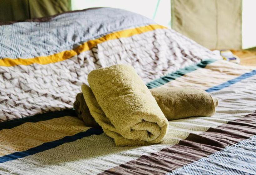 اتاق اکونومی, Eselbe Camp Backpackers