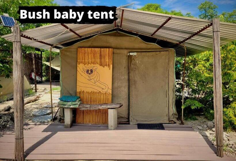 چادر با خدمات رفاهی استاندارد, Eselbe Camp Backpackers
