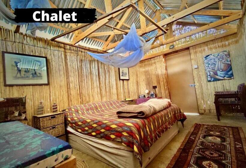 اتاق استاندارد, Eselbe Camp Backpackers