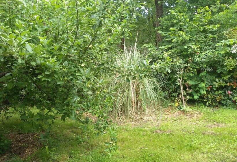 غرفة عائلية, Elevage Du Plec