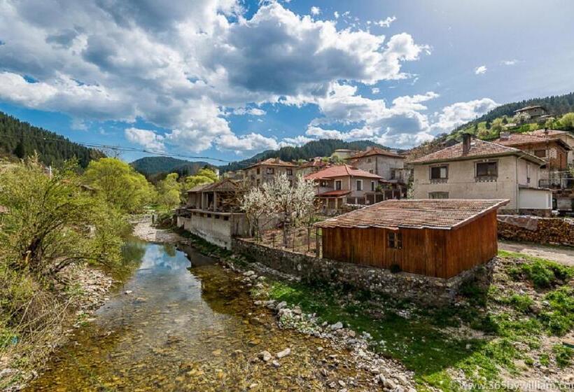 سوییت جونیور, Trigrad