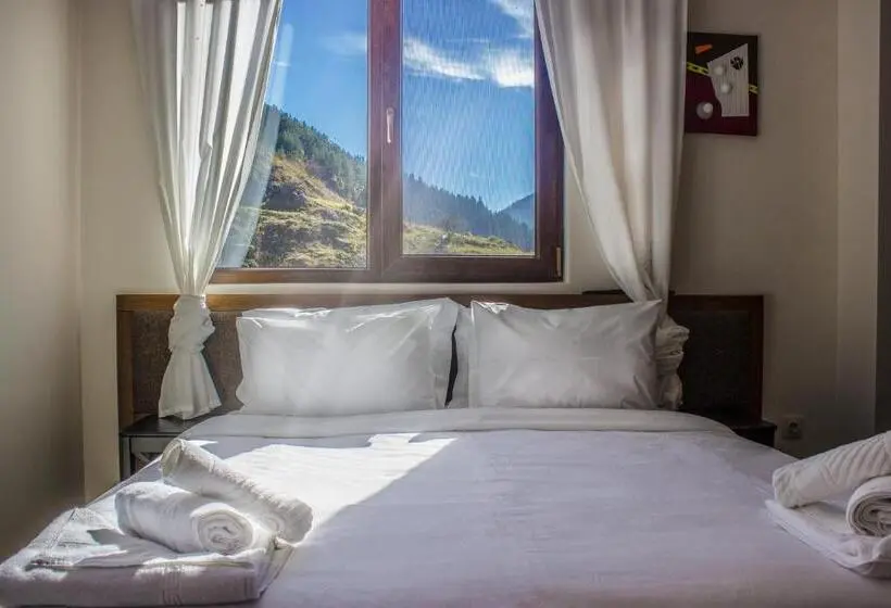 Junior Suite, Trigrad