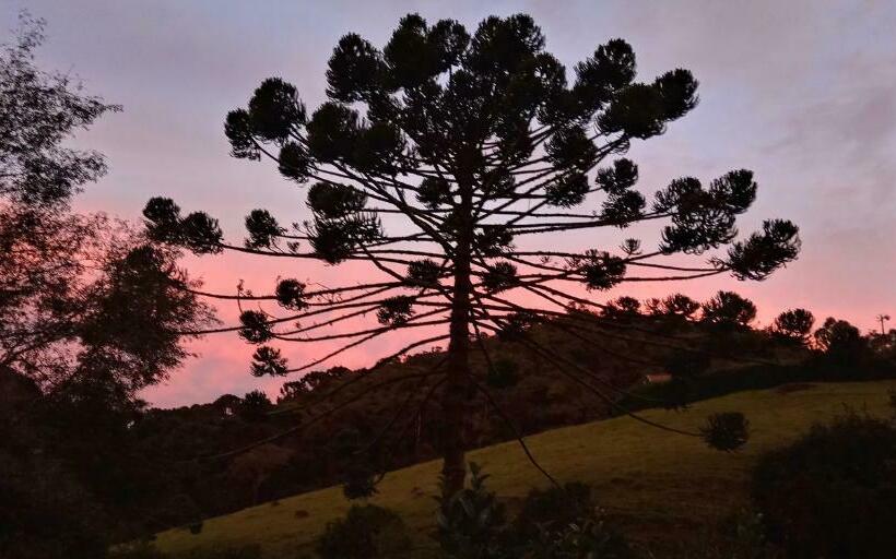 バルコニー付きスタンダードルーム, Pousada Recanto Da Vitória
