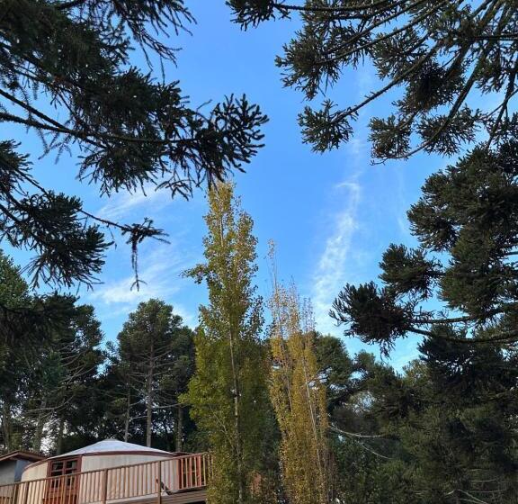 ガーデンビュースイート, Solar Do Oriente   Yurt Ecovillage
