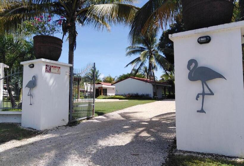 غرفة عائلية, Villa Sueño Potrero