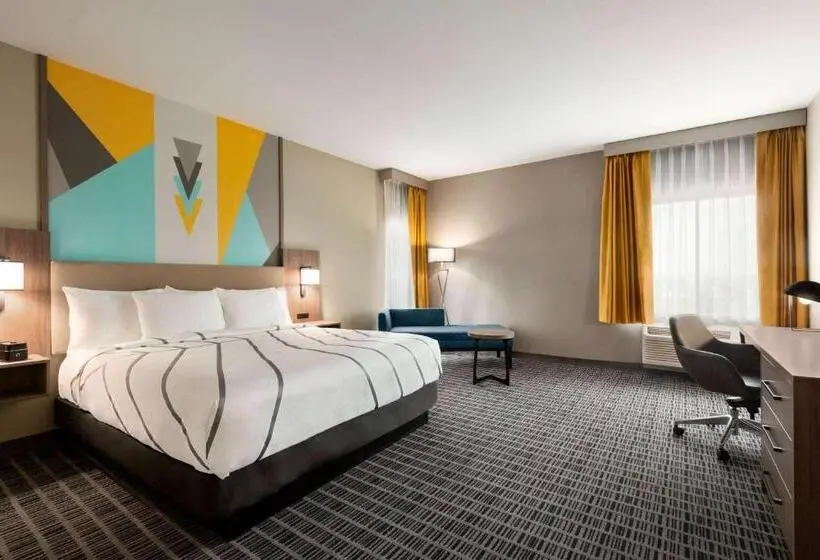 キングサイズベッドのスタンダードルーム, La Quinta By Wyndham Richmond Sugarland