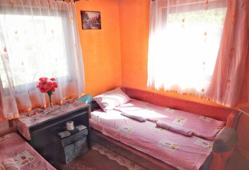 اتاق لوکس, Virmal