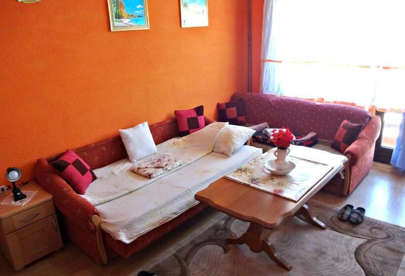 اتاق لوکس با بالکن, Virmal