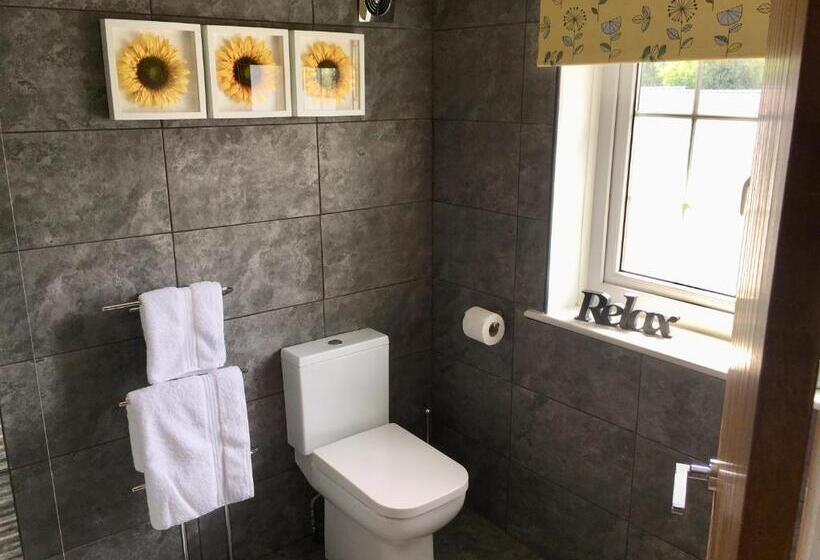 스탠다드 룸 킹사이즈 침대, The Sun B&b Rooms