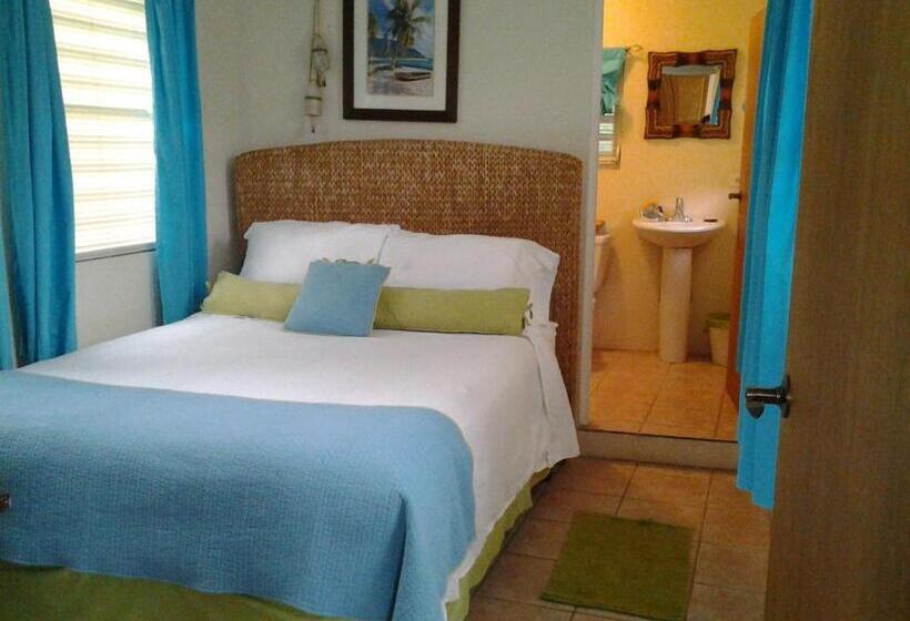 شقة غرفة واحدة, Casa De Tortuga