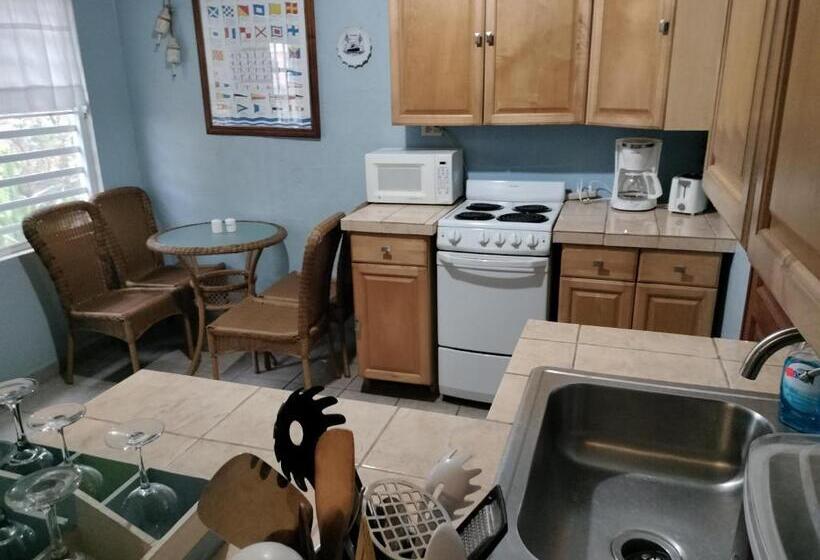 شقة ديلوكس غرفة واحدة, Casa De Tortuga