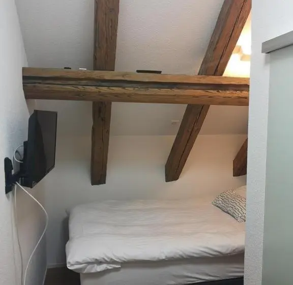 エコノミーシングルルーム, Landgasthof Schwanen