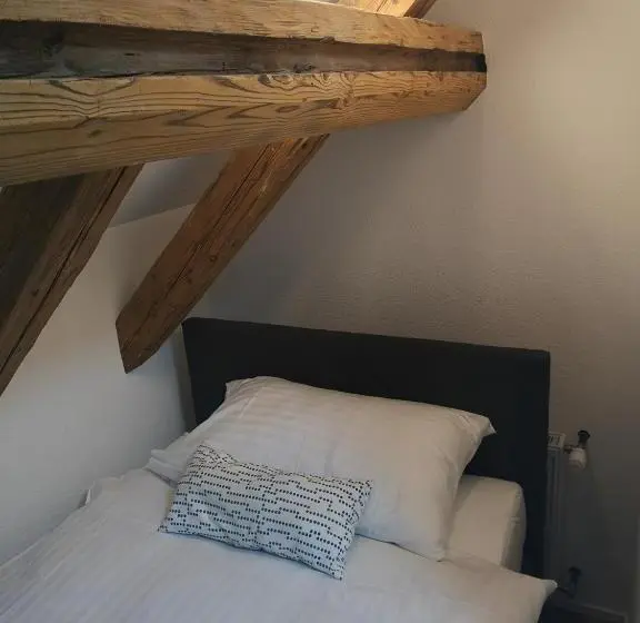 エコノミーシングルルーム, Landgasthof Schwanen