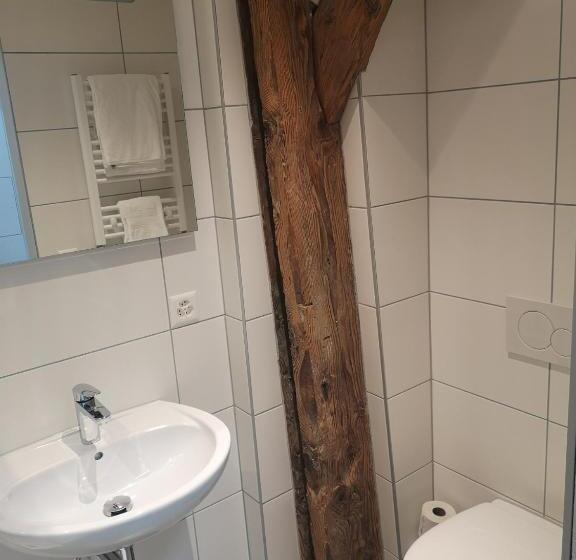 חדר אקונומי יחיד, Landgasthof Schwanen