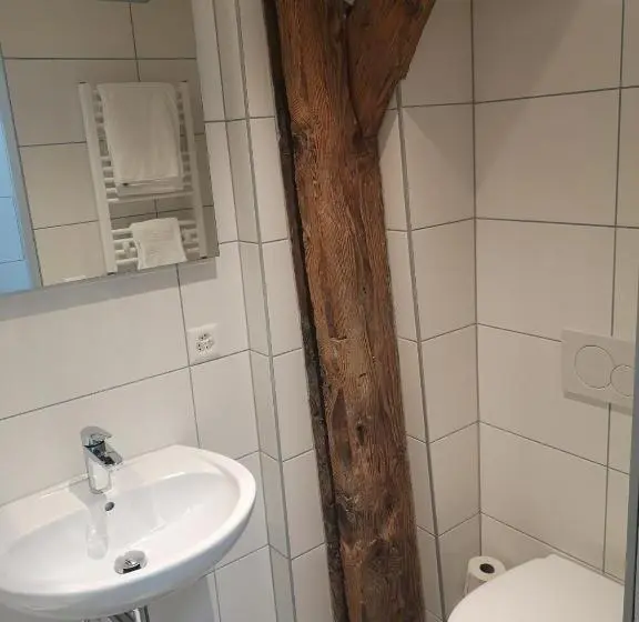 エコノミーシングルルーム, Landgasthof Schwanen