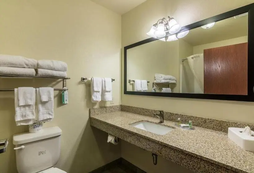 キングサイズベッドのデラックススイート, Cobblestone Inn & Suites   Soda Springs