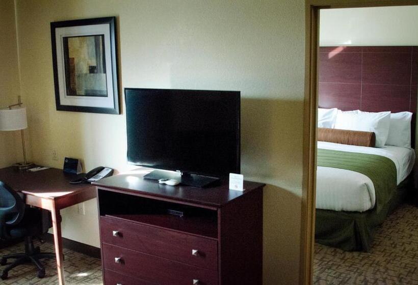 Deluxe Suite King-Size Franciággyal, Cobblestone Inn & Suites Soda Springs