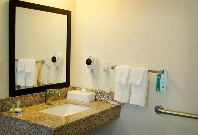 身障者適用キングサイズベッドルーム, Cobblestone Inn & Suites   Soda Springs