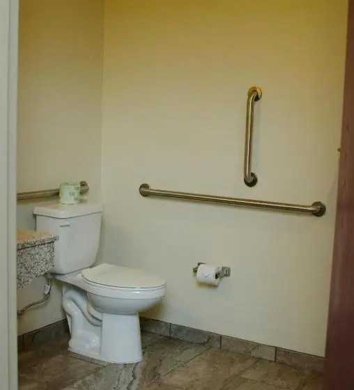 身障者適用キングサイズベッドルーム, Cobblestone Inn & Suites   Soda Springs