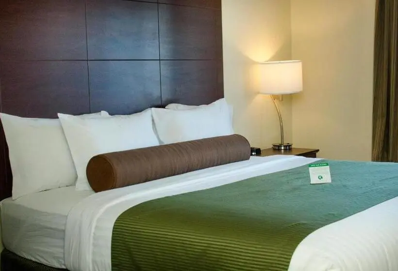 身障者適用キングサイズベッドルーム, Cobblestone Inn & Suites   Soda Springs