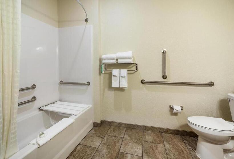 Номер Стандарт Кровать Кинг Адаптированный для Инвалидов, Cobblestone Inn & Suites   Soda Springs