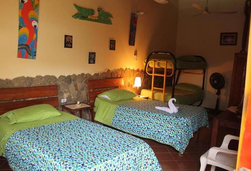 スタンダードルーム, Toninas