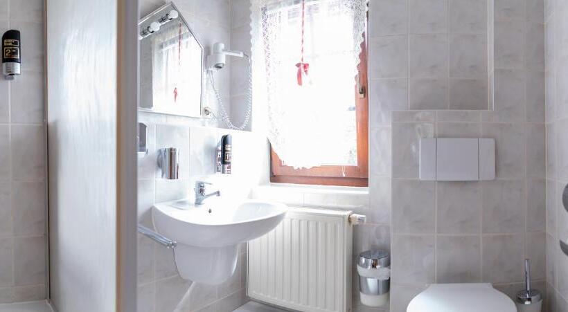 스탠다드 싱글 룸, Landhotel Biberburg