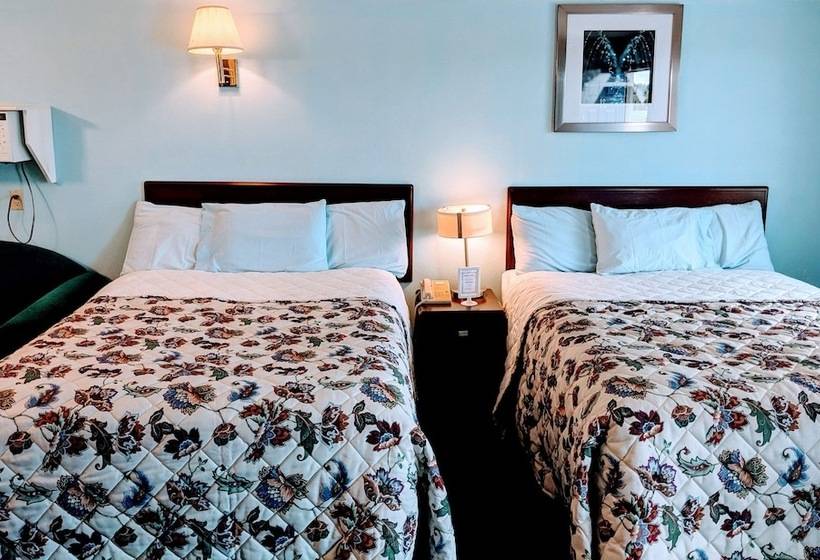 ２ダブルベッドのスタンダードルーム, Executive Inn