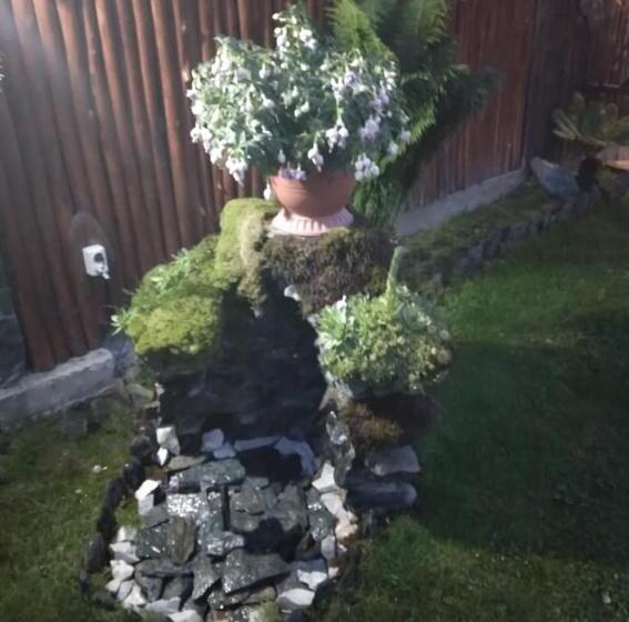 اتاق استاندارد سه نفره, Pensiunea Bujor De Munte