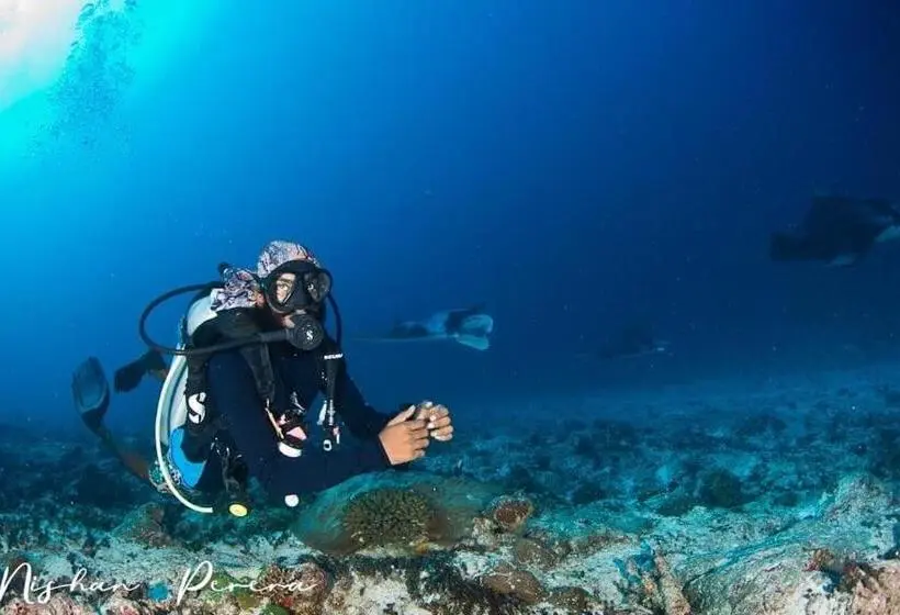 اتاق استاندارد, Addu Scuba Dive