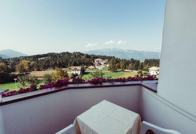 标准间带阳台, Pension Stern