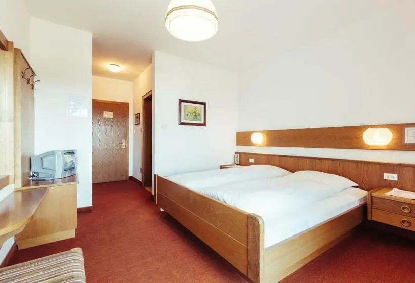Standard-huone Parveke, Pension Stern