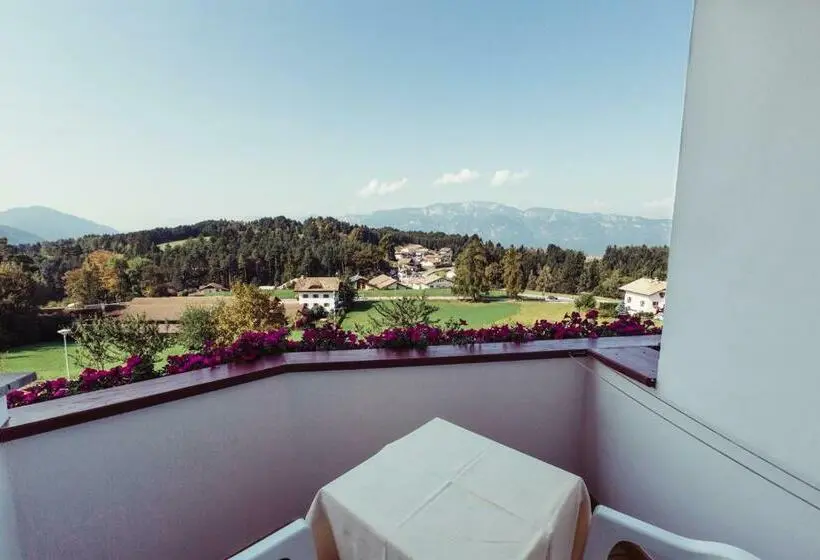 Standard Yhden Hengen Huone Parveke, Pension Stern