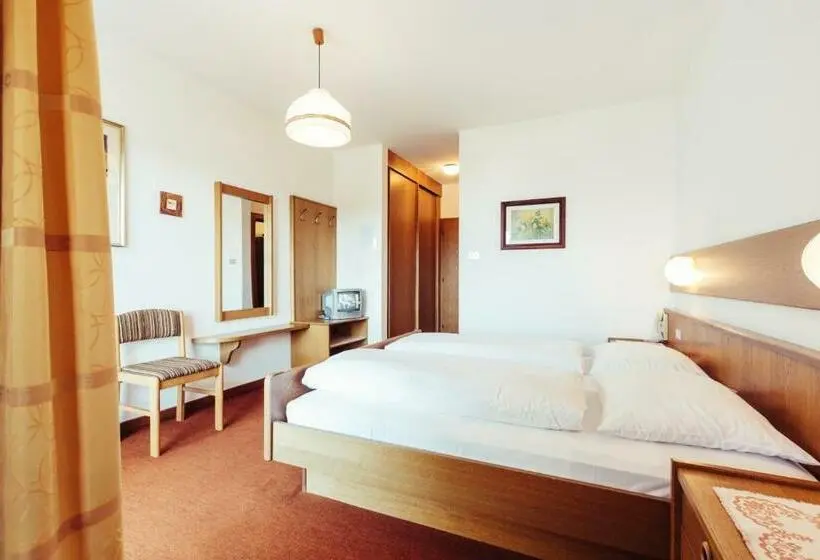 Standard Yhden Hengen Huone Parveke, Pension Stern