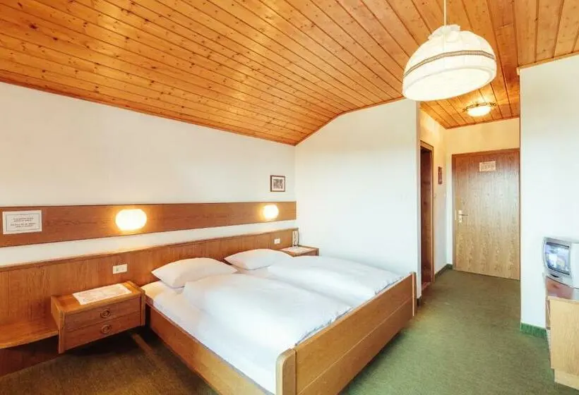 Standard Yhden Hengen Huone Parveke, Pension Stern