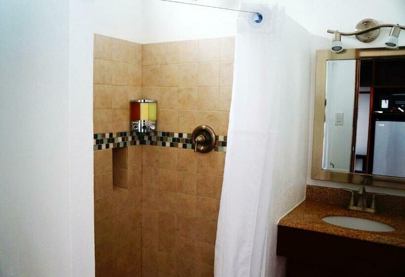 اتاق استاندارد با تخت بزرگ, Bravo Beach