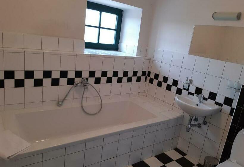 豪华房间, Wellness Hotel Lihovar