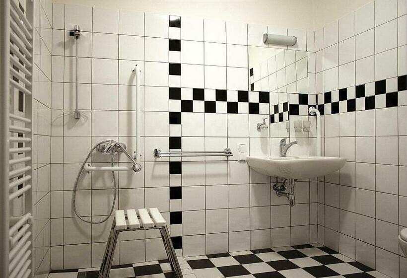 适合残疾人使用的标准间, Wellness Hotel Lihovar