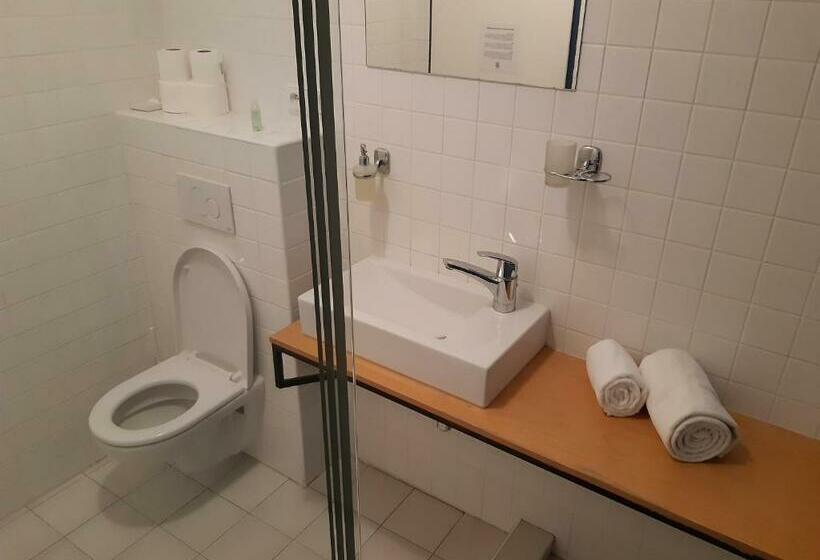 带园景的单人房, Wellness Hotel Lihovar