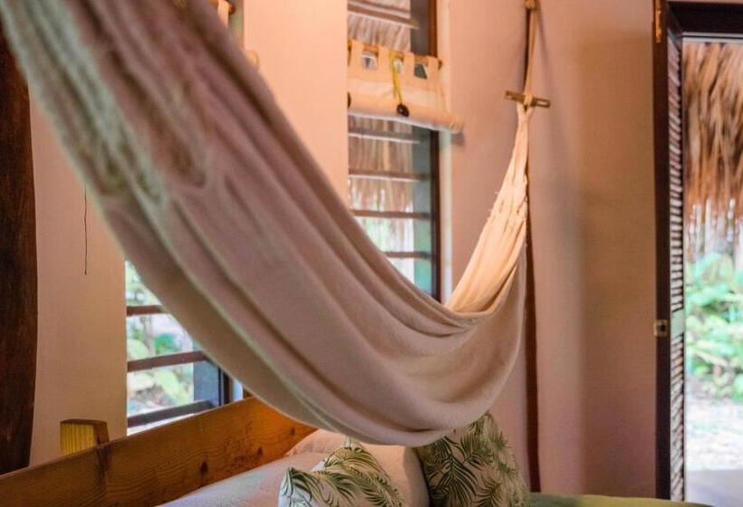 수피리어 룸, Viajero Tayrona Hostel & Ecohabs