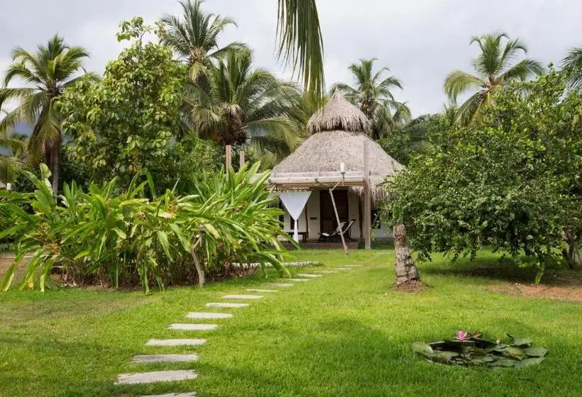 Superior Kolmen Hengen Huone, Viajero Tayrona Hostel & Ecohabs