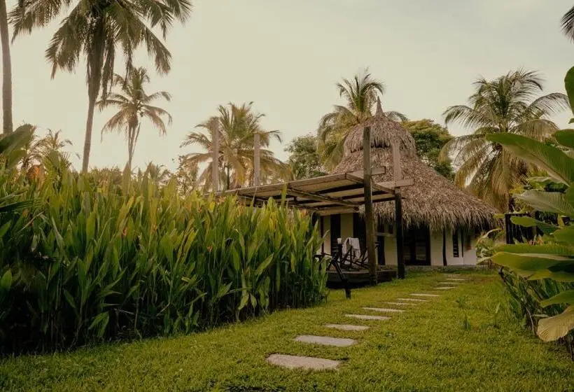 Standard-huone, Viajero Tayrona Hostel & Ecohabs
