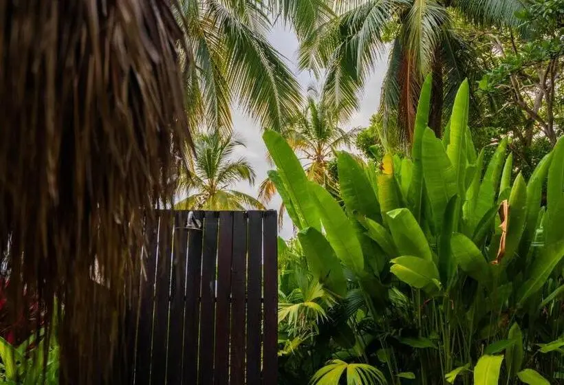 Standard Neljän Hengen Huone, Viajero Tayrona Hostel & Ecohabs