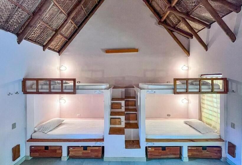 ファミリールーム, Viajero Tayrona Hostel & Ecohabs