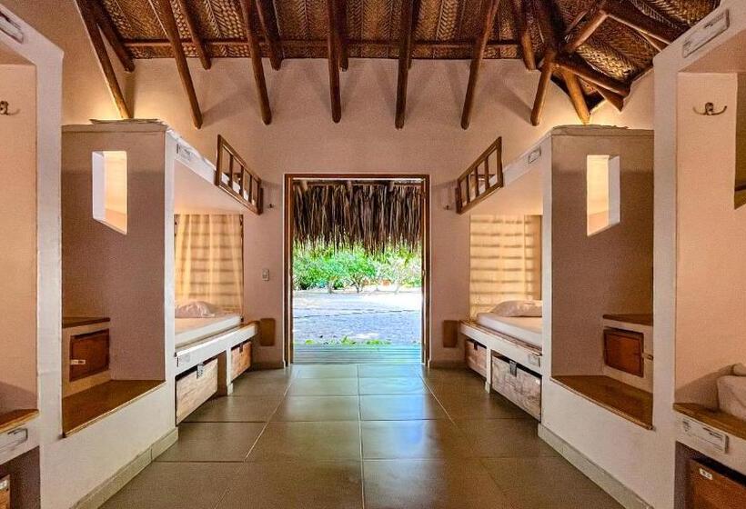 ファミリールーム, Viajero Tayrona Hostel & Ecohabs