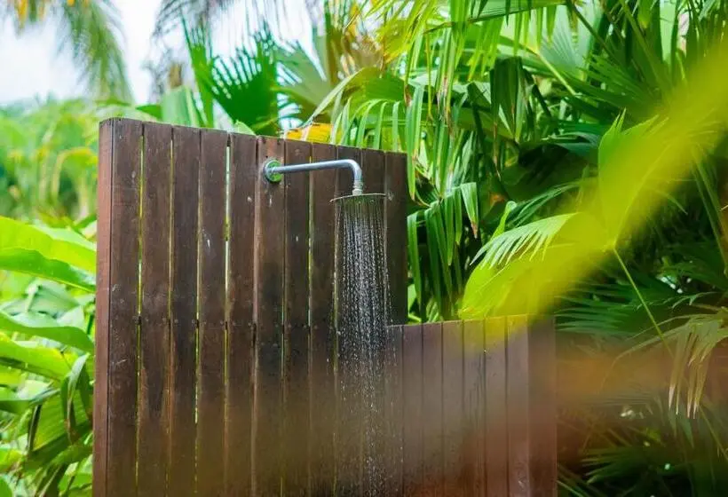 Standard Viiden Hengen Huone, Viajero Tayrona Hostel & Ecohabs