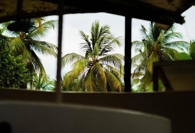 스탠다드 5인객실, Viajero Tayrona Hostel & Ecohabs