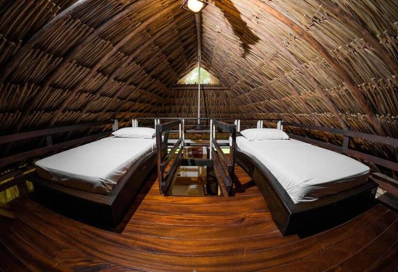 스탠다드 5인객실, Viajero Tayrona Hostel & Ecohabs