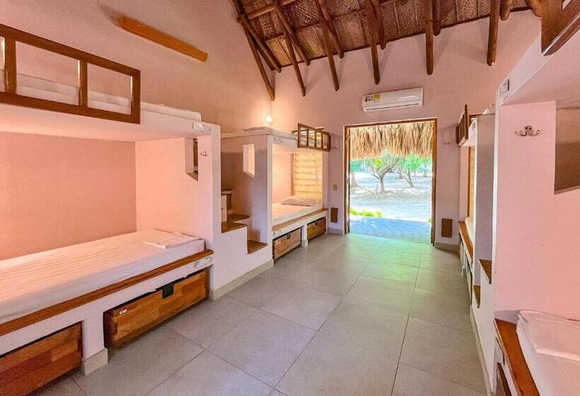 ルームシェアのワンベッド, Viajero Tayrona Hostel & Ecohabs