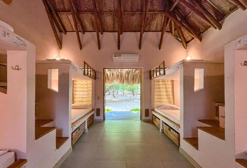 ルームシェアのワンベッド, Viajero Tayrona Hostel & Ecohabs